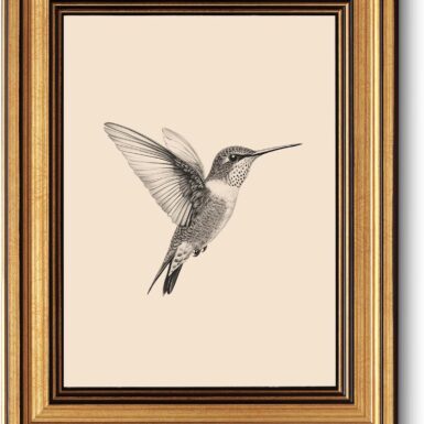 VIYYIEA Vintage Gold Framed Wall Art, Sketch Birds Canvas Painting, Cute but Exquisite Wall Decor, No Glass No Glare, Suitable for Bedside Tables, Foyer, Bookshelves,【Hummingbird】-10L x 8W